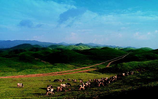 Nanshan Mountain Scenic Spots