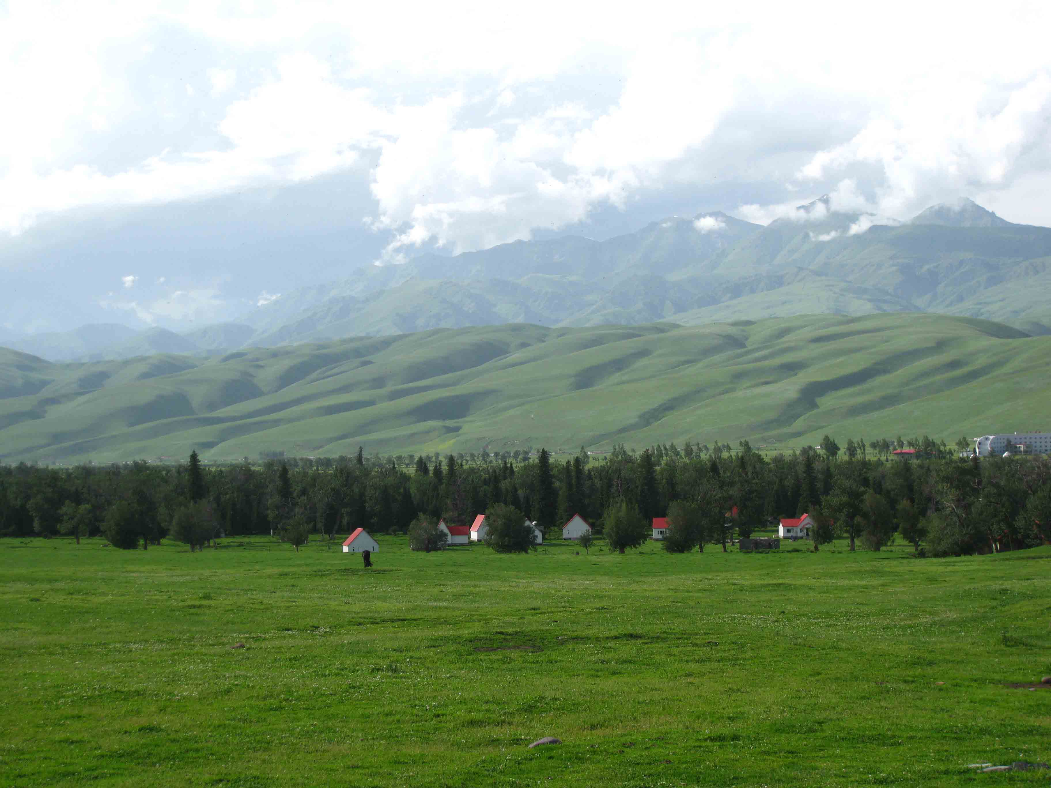 Scenery of the Narat Prairie in Xinyuan County