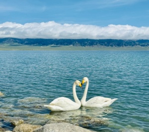 Sayram Lake.jpg