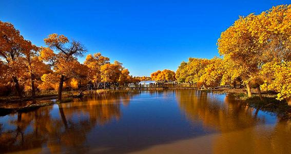 The Characteristic of Nature River in Xinjiang