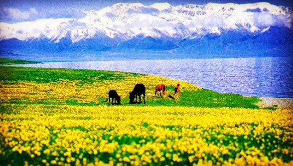 The Extraordinary Scenery In Xinjiang