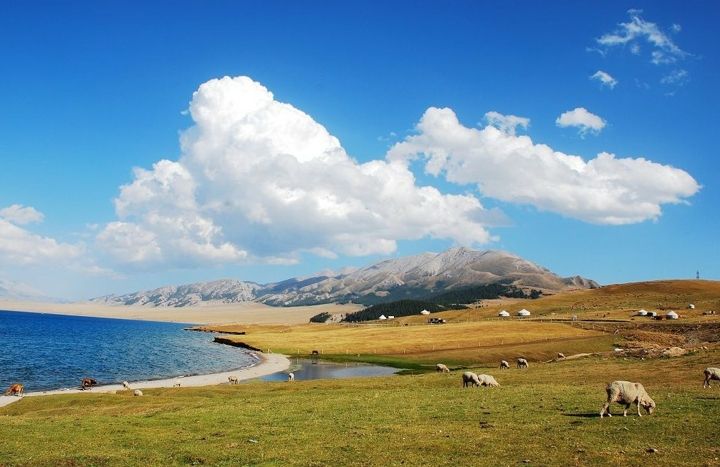  Kalamaili Nature Reserve is Located in the North Xinjiang