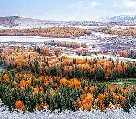 Xinjiang Weather in January