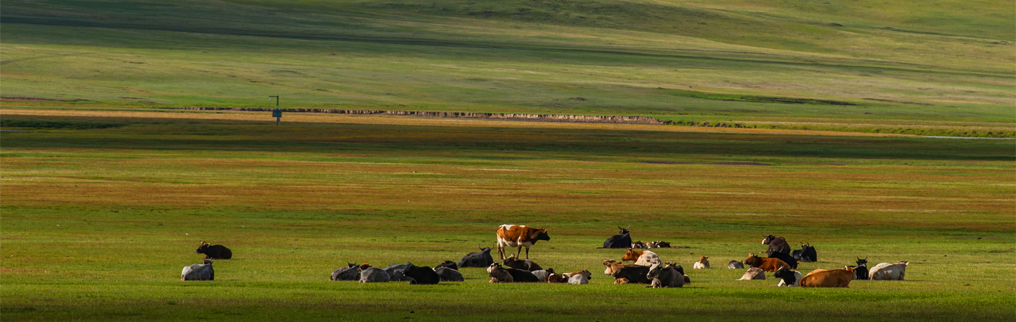 Xinjiang Tours