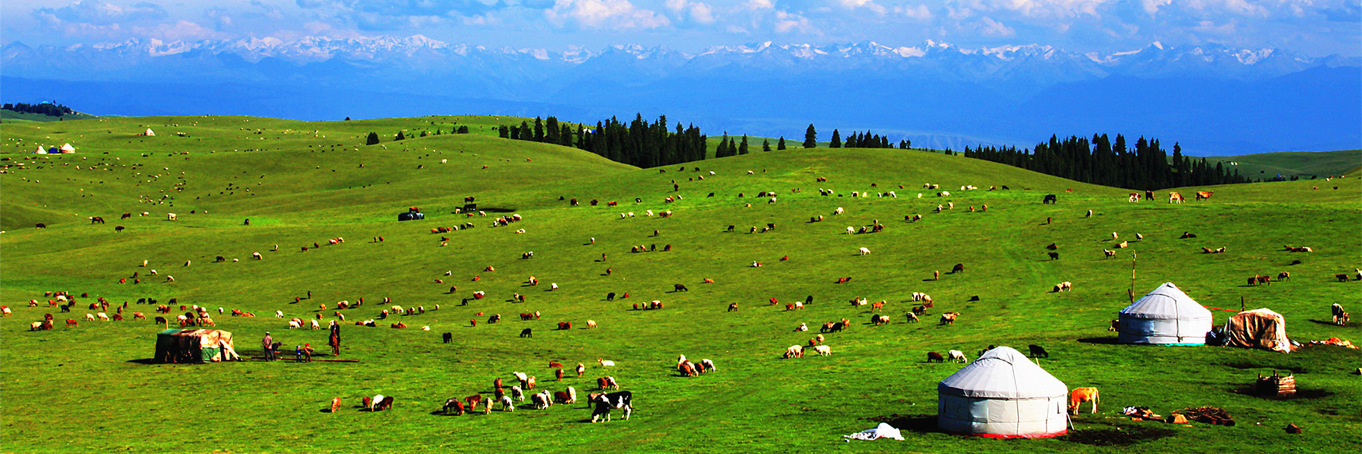 Xinjiang Tours