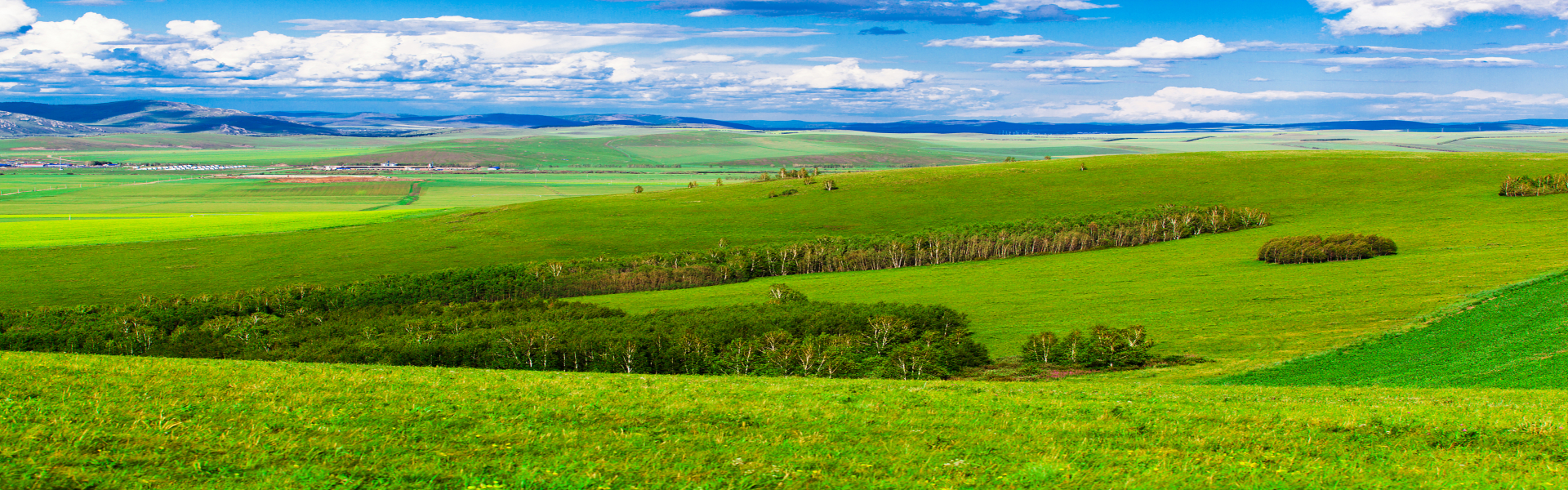 Xinjiang Horseback Riding Tours