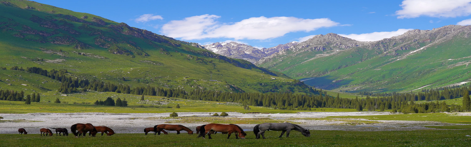 Xinjiang Horseback Riding Tours