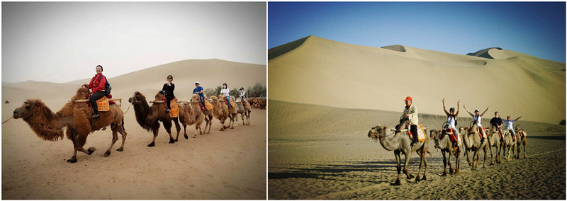 camel-riding.jpg