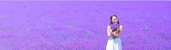 Lavender.jpg.jpg